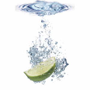 Lime Mojito Pty Ltd Logo