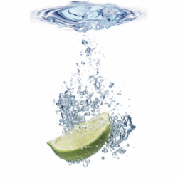 Lime Mojito Logo
